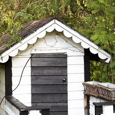 Appartement Arctic Secret *