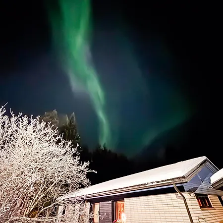 Arctic Secret