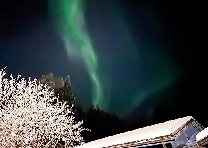 Arctic Secret