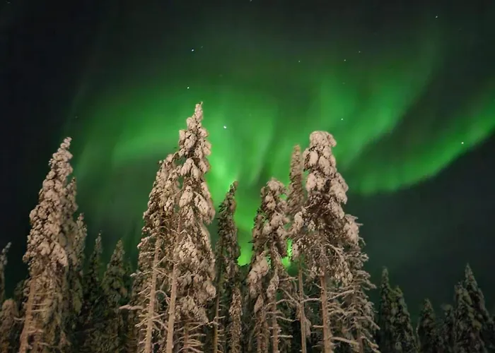 Arctic Secret Apartamento